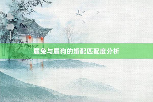 属兔与属狗的婚配匹配度分析